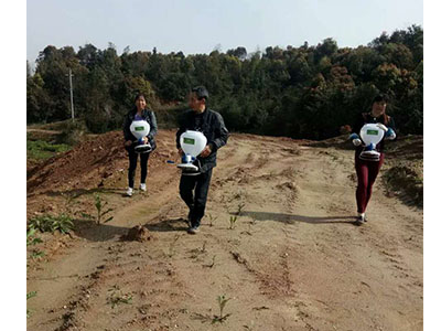 園林養(yǎng)護(hù)案例