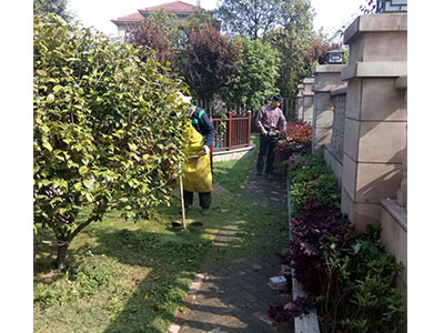 園林養(yǎng)護(hù)案例