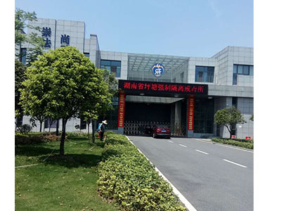 園林養(yǎng)護(hù)案例